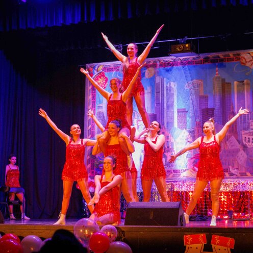 Schautanz der Danicng Angels mit dem Motto Hamburg Live und in Farbe